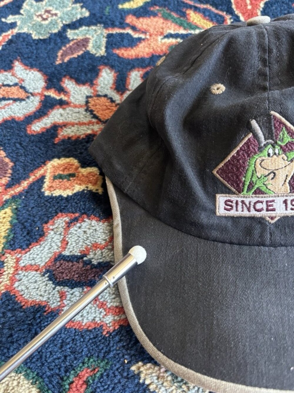 Looney Tunes Wile E Coyote Acme Hat Since 1955 Black Snapback Frog - Picture 3 of 8